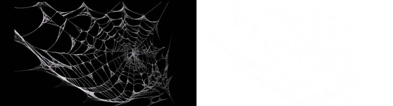 Spider Web Splitting Inhalf