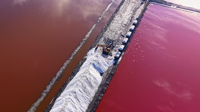 Workers operate machinery to transport white salt as vibrant pink and reddish waters surround the salt flats, creating a breathtaking contrast under a bright sky during midday.