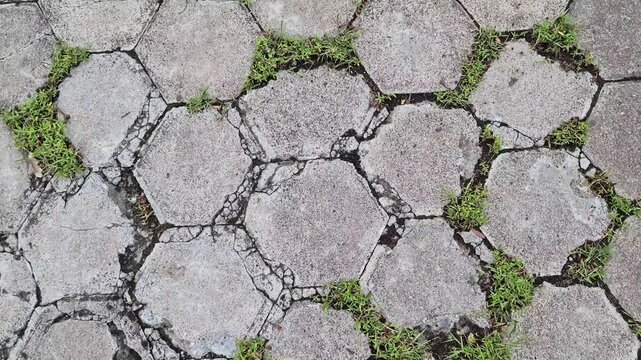 Hexagonal Paving Blocks with Grass Growing in Cracks - Ground Texture