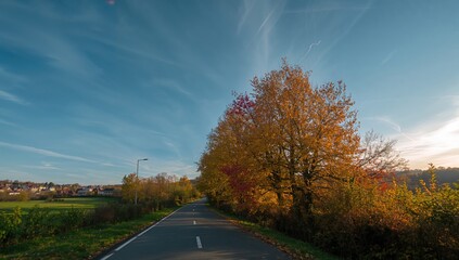 Fototapeta premium Road trip amid vibrant fall leaves, emphasizing seasonal scenery, Fall awareness