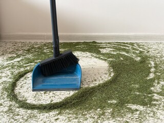 Cleaning up fallen pine needles after Christmas tree indoors