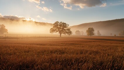 Morning mist drifting over a fog-covered tree and rolling hills, highlighting atmospheric conditions