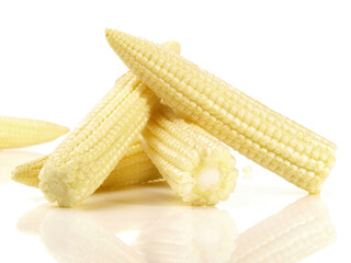 Vegetables - Mini Corn Cobs on white Background