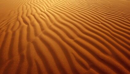 Fototapeta premium Sand dune surface pattern, ideal for editorial header backgrounds