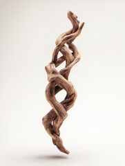 Obraz premium Elegant twisted wooden sculpture with organic flow, isolated for use in art, design, and interior concepts.