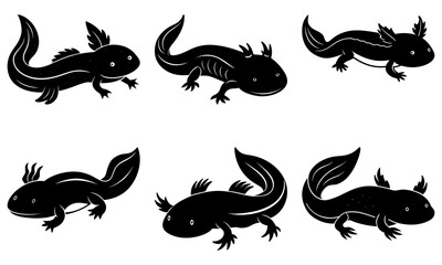 Naklejka premium Five Black Axolotl Silhouettes on White Background amphibian