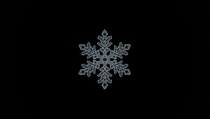 Isolated snowflake on dark background natural crystal for winter decor, seasonal awareness day