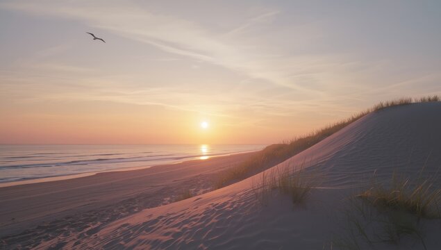 North Sea coast at Wijk aan Zee during sunset with dunes and beach, scenic natural environment