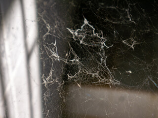 Old Dusty Spider Web in Corner with Cobwebs