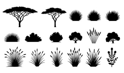 African savannah botanical plant silhouette icons vector © MdGohurul