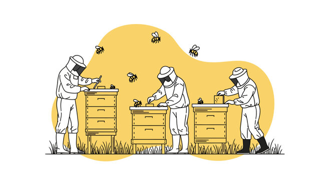 Beekeepers Inspecting and Managing Beehives Outdoors.