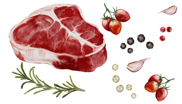 Fresh meat with spices, big watercolor set. Food clip art. Beef steak on a white background with rosemary, garlic, and three types of pepper. Perfect for butcher shop signs, restaurant menus, and