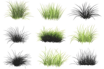 Obraz premium Vibrant Grass Assortment: A captivating array of diverse grass tufts, showcasing a variety of textures, hues, and forms, illustrating the rich diversity of natural grasslands.