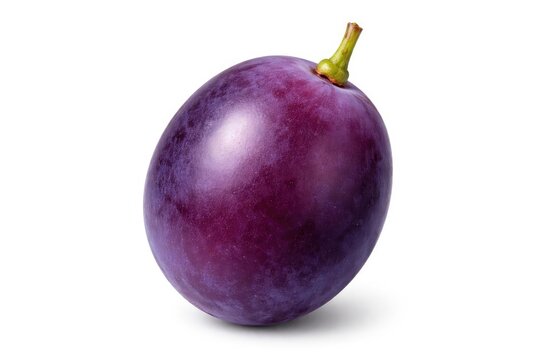 Single isolated purple grape on white backdrop showing clipping path and high clarity