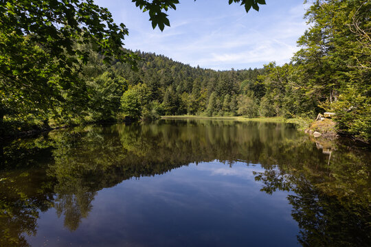 L'&eacute;tang du Petit-Haut est un petit lac situ&eacute; dans les contreforts du Ballon d'Alsace, dans le massif des Vosges, dans le d&eacute;partement du Territoire de Belfort. Situ&eacute; sur la commune de Lepuix.