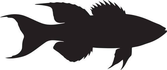 Obraz premium Cirrhilabrus finifenmaa in silhouette white background