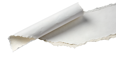 A white paper sheet is torn and curled upward, revealing a textured, ragged edge, ideal for use as an isolated design element on a transparent background