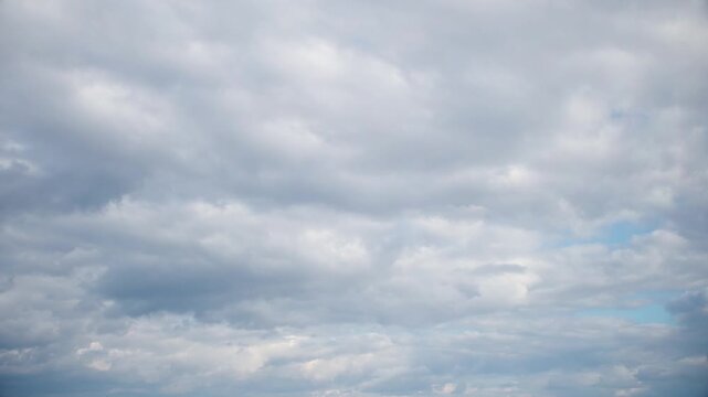 Dramatic sky almost completely covered with cumulus clouds. Slowly moving huge clouds. Atmosphere before a storm or rain.