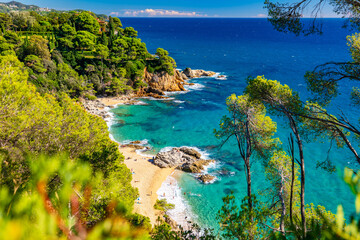 Fototapete bei efototapeten.de bestellen   