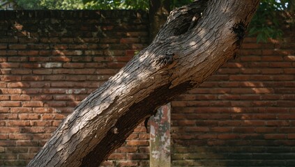 Fototapeta premium Detailed view of a papaya tree trunk's textured surface with a red brick background, focusing on plant health and growth