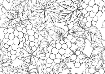 Seamless vector pattern with ripe grape bunches, leaves, and vines. Hand-drawn watercolor style. Ideal for wine labels, textiles, wallpapers, and packaging. Elegant, botanical, and vintage-inspired.