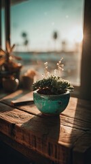 Succulent Plant In Rustic Wooden Pot By Window