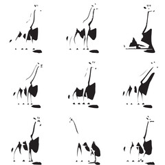 Set of vector silhouettes of giraffe animals on a white background