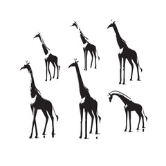 Set of vector silhouettes of giraffe animals on a white background