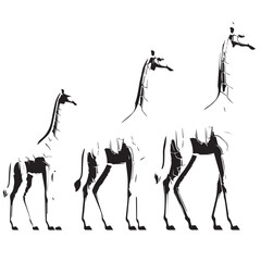 Set of vector silhouettes of giraffe animals on a white background