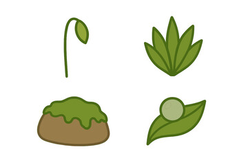 Green plant elements showing a sprout, a succulent, a mound of soil, and a leaf with a droplet in a simple style