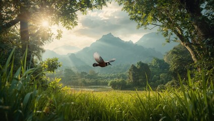 White-eared Sibia bird food among trees and grass in a subtropical mountain environment, highlighting habitat preservation