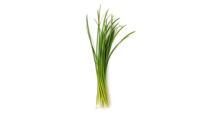 Green garlic chives leaf isolated on white background, emphasizing fresh herbs for cooking, food, natural