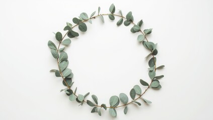 Obraz premium Eucalyptus foliage arranged in a circular wreath on a white backdrop, used for botanical displays or decoration planning