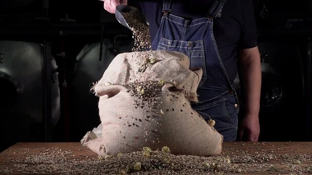 Old Brewer Spreads Malt From a Bag Inside a Private Brewery at 1000 Fps Super Slow Motion to Showcase Beer Crafting Process