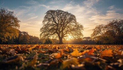 Food items prepared with a gentle taste, suitable for editorial layouts