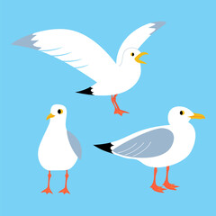 Vector set of illustrations with funny seagulls on a blue background