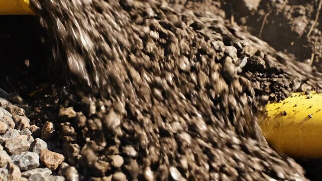 A closeup of a natural brown hedgehog nestled in dry yellow hay and harvest wheat grain within a summer garden field creates an abstract pattern of animal fur and straw textures