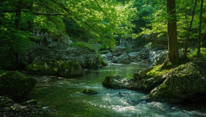 Obraz premium Forest setting with rocks and water, ideal for nature-themed UI backgrounds, spring landscape
