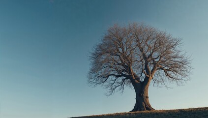 Leafless tree silhouette on a bright blue sky, emphasizing urban landscape preservation