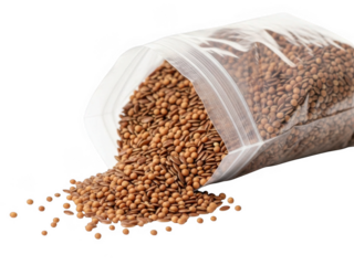 Spilled bag of brown seeds isolated on transparent background