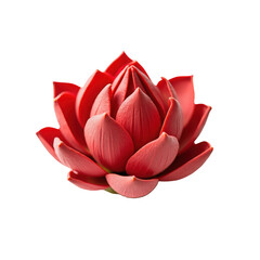 Vibrant Red Lotus Flower in Bloom, Symbolizing Serenity and Beauty in Nature on transparent background