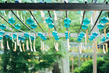 正寿院の美しい風鈴