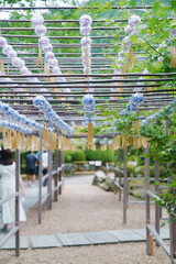 正寿院の美しい風鈴