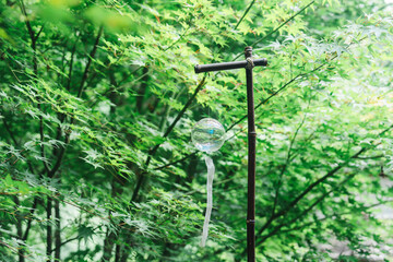 正寿院の美しい風鈴