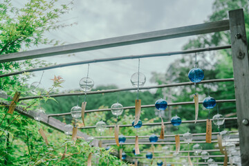 正寿院の美しい風鈴