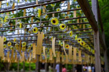 正寿院の美しい風鈴