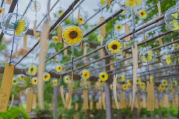 正寿院の美しい風鈴