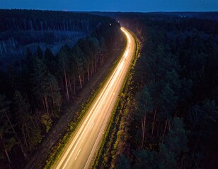 Highway light streaks illuminate a dark forest at twilight.