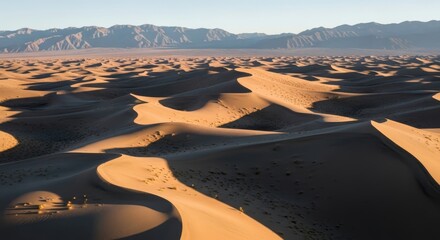 Vast golden sand dunes under a clear sky with distant mountains.