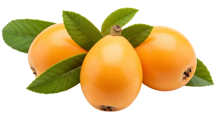 Three ripe golden yellow apricots with fresh green leaves attached on stems isolated on a transparent background